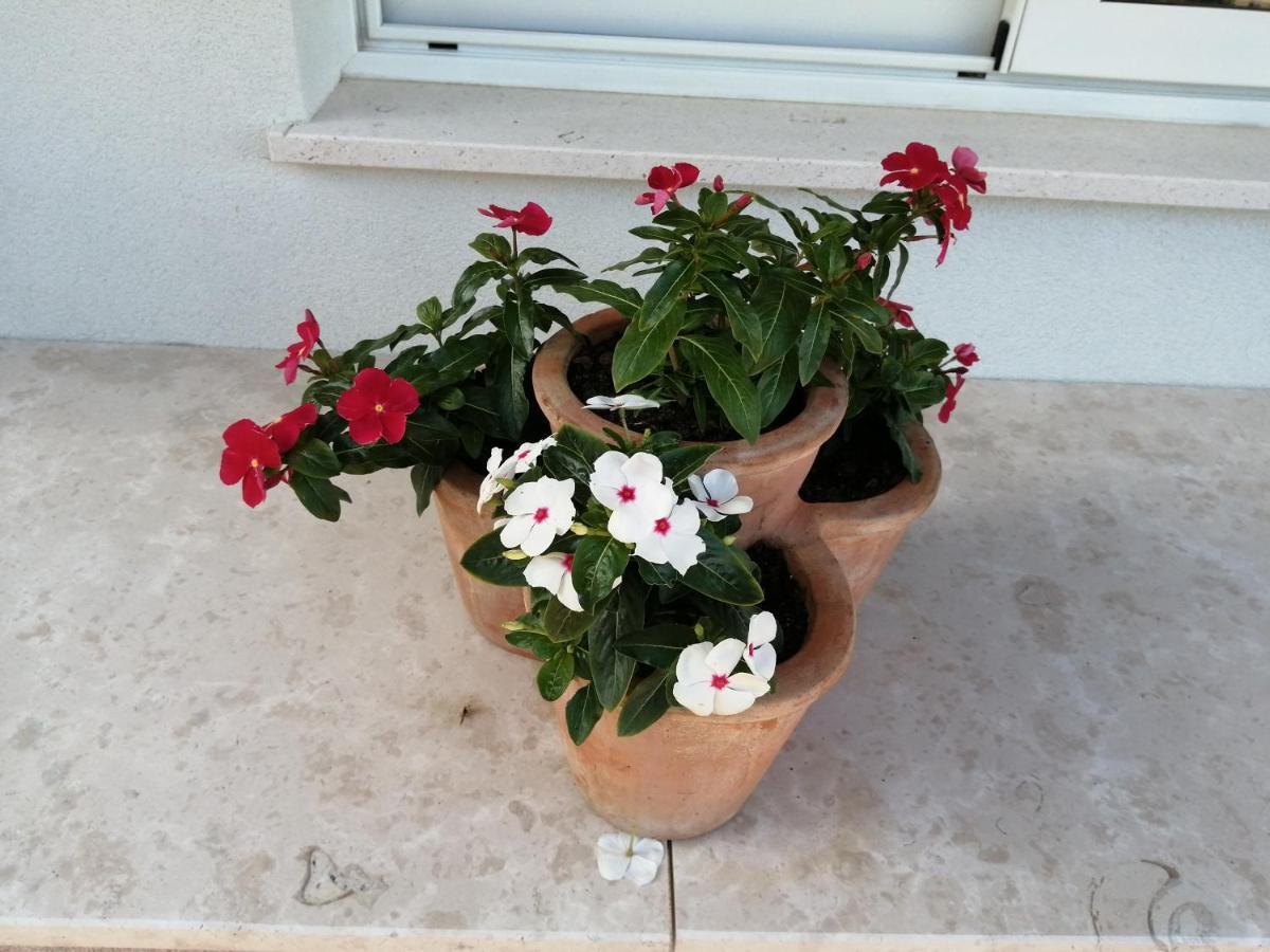 Apartma Belici