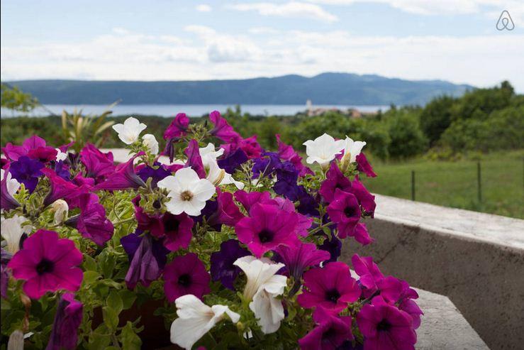 Apartma Belici