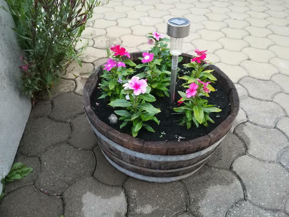 Apartma Belici *