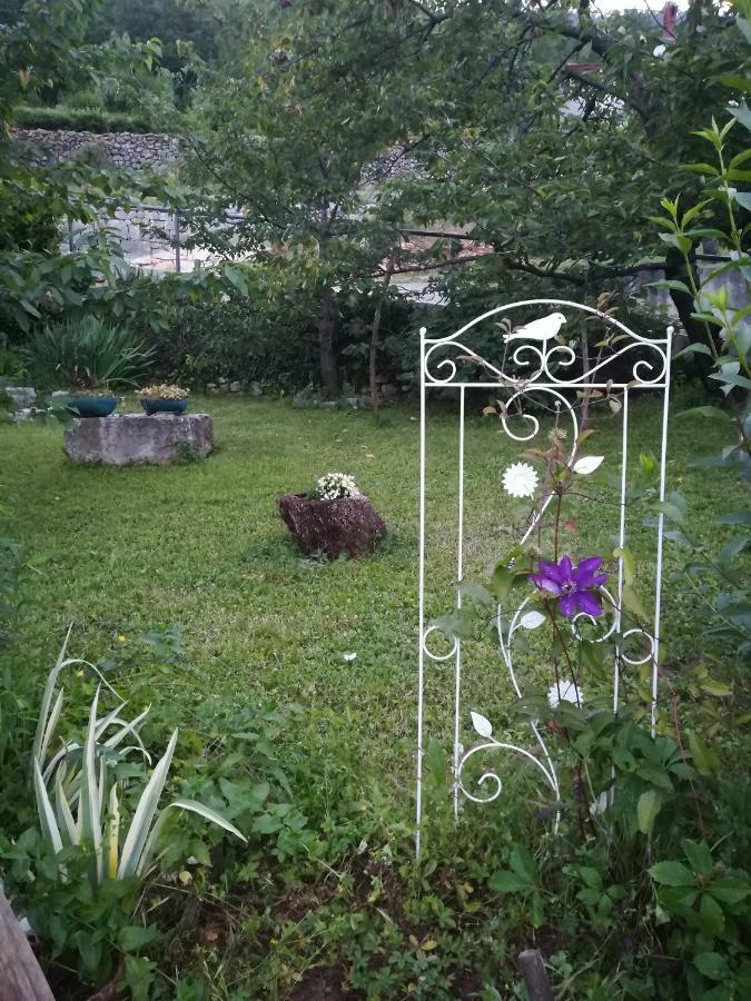 Apartma Belici *