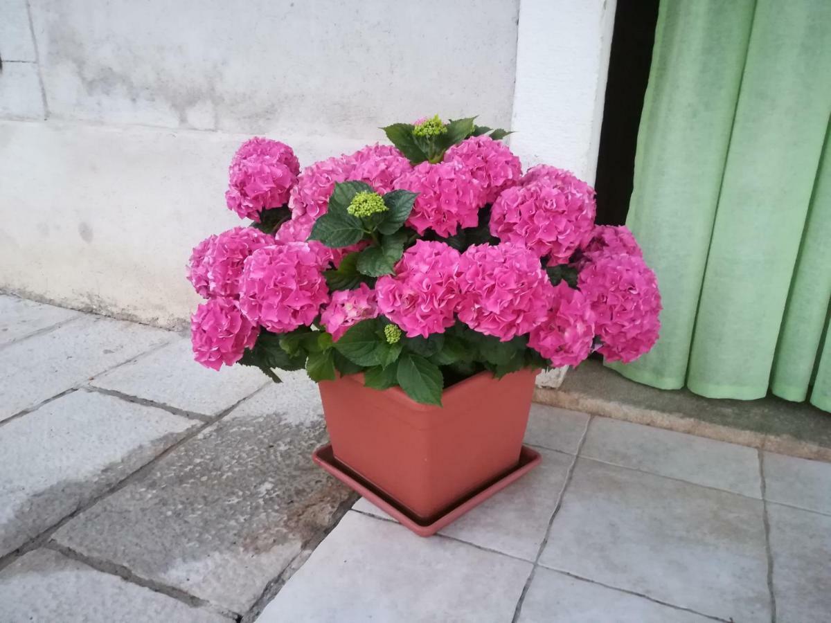 Belici Appartement Brseč
